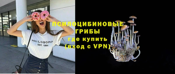 эйфоретик Алзамай