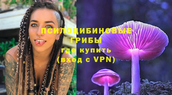 эйфоретик Алзамай