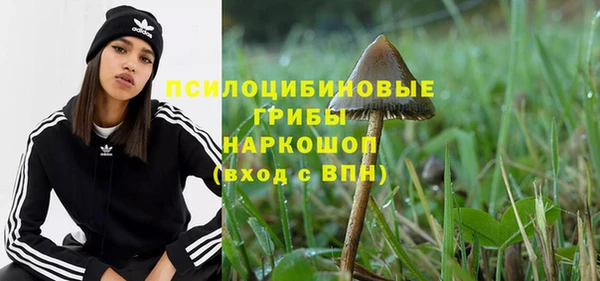 амф Алексеевка